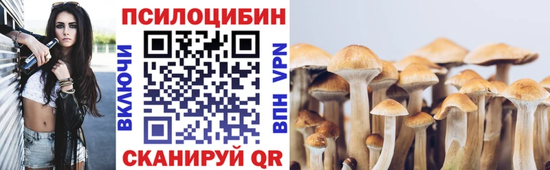 Псилоцибиновые грибы мицелий  Купить где  Буинск 
