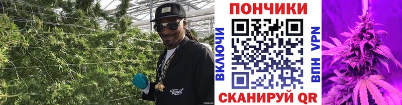 Каннабис Amnesia  Купить закладки  Буинск 